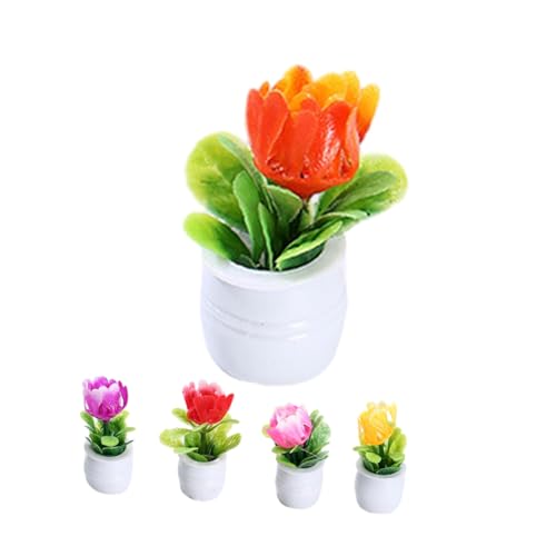 BCOATH 5Stücke Mini Bonsai Pflanzen für Puppenhaus Dekoration Lebensnahe Bonsai Modelle aus Resin für Mini BCOATH 5Stücke Mini Bonsai Pflanzen für Puppenhaus Dekoration Lebensnahe Bonsai Modelle aus Resin für Mini von BCOATH