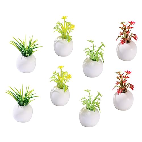 BCOATH 8 Stck Teiliges Miniatur Sukkulenten Künstliche Topfpflanzen Realistische Mini Pflanzen für Puppenhaus Dekoration Kompakt Farbenfroh Vielseitig für Indoor Mini Garten BCOATH 8 Stck Teiliges Miniatur Sukkulenten Künstliche Topfpflanzen Realistische Mini Pflanzen für Puppenhaus Dekoration Kompakt Farbenfroh Vielseitig für Indoor Mini Garten von BCOATH