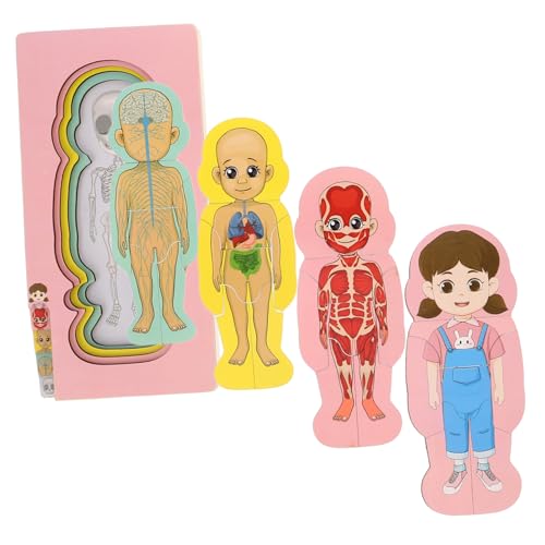 BCOATH Anatomie-Puzzle Für Kleinkinder Hölzernes Körper-lernspielzeug Pädagogisches Puzzle-Set Für Kinder von BCOATH