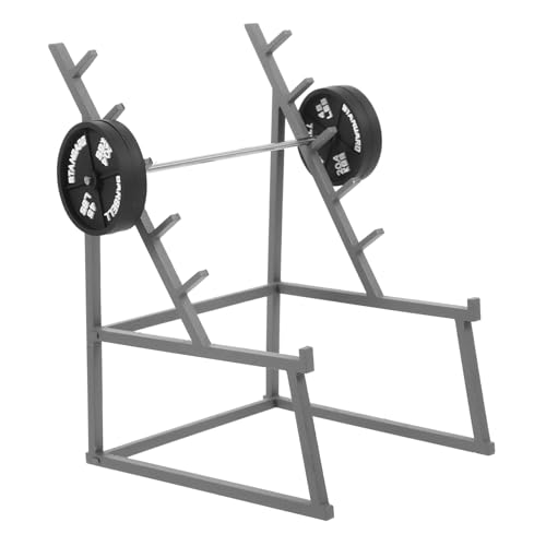 BCOATH Miniatur Hantelset Stabile Mini Barbell Deko für Puppenhaus Detailreiche Fitnessmodell Ornamente als Kleines Sportgerät für Miniatur Dioramen und Regaldekoration von BCOATH