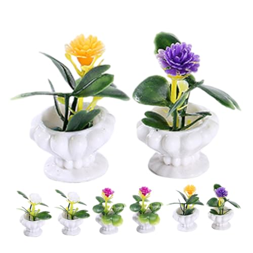 BCOATH Miniatur-Bonsai-Verzierungen – Garten-landschaftsgestaltung Bonsai Für Den Schreibtisch von BCOATH