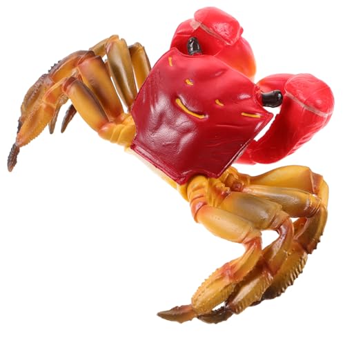 BCOATH Simulationskrabbe Plastikmodell Meeresdeko Realistische Ozeantier Figur Aquarium Deko Lernspielzeug Sicher Robust Natürlich Detailliert von BCOATH