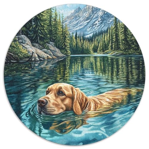 Berner Berghund Puzzle 1000 Teile Schwer Puzzle Spielzeug Lernspiel Impossible Herausforderung Spielzeug Für Erwachsene Und Kinder in Bewährter (67.5x67.5cm) von BDKSLBDIP