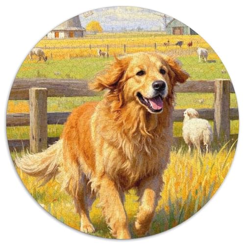 Berner Berghund Puzzle 1000 Teile Schwer Puzzle Spielzeug Pädagogisches Spiel Impossible Herausforderung Spielzeug Für Erwachsene Kinder (67.5x67.5cm) von BDKSLBDIP