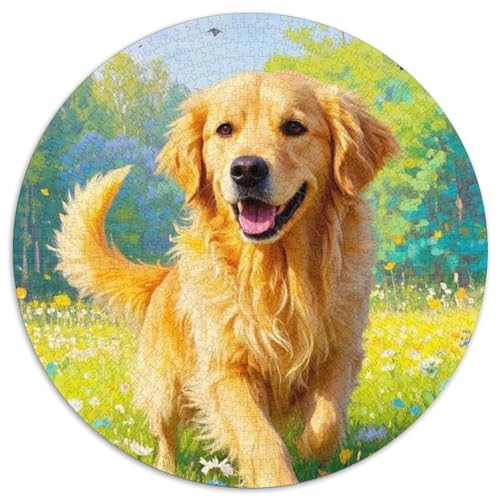 Berner Berghund Puzzles 1000 Teile Schwer Puzzle Spielzeug Pädagogisches Spiel Impossible Herausforderung Spielzeug Für Erwachsene Und Kinder Ab 12 Jahren (67.5x67.5cm) von BDKSLBDIP