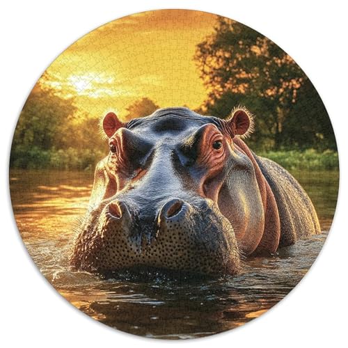 Eidechsen Puzzles 1000 Teile Schwer Puzzle Spielzeug Lernspiel Impossible Herausforderungsspielzeug Für Erwachsene Und Kinder Ab 12 Jahren (67.5x67.5cm) von BDKSLBDIP