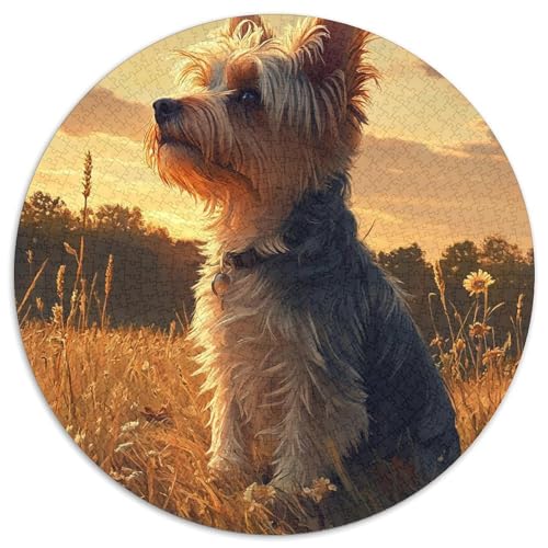 Goldener AFFE Puzzle 1000-teilige Schwer Puzzle Spielzeug Pädagogisches Spiel Impossible Herausforderungsspielzeug Für Erwachsene Und Kinder Ab 12 Jahren (67.5x67.5cm) von BDKSLBDIP