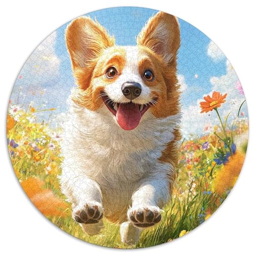 Goldener Birman Puzzles 1000-teilige Schwer Puzzle Spielzeug Lernspiel Impossible Herausforderungsspielzeug Für Erwachsene Kinder (67.5x67.5cm) von BDKSLBDIP