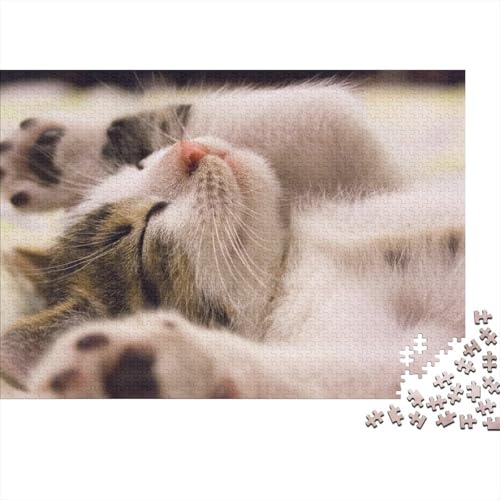 Katze Puzzle 1000-teilige Schwer Puzzle Spielzeug Pädagogisches Spiel Impossible Herausforderungsspielzeug Für Erwachsene Und Kinder Ab 12 Jahren (75x50cm) von BDKSLBDIP