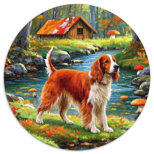 Miniatur Pinscher Puzzle 1000-teilige Schwer Puzzle Spielzeug Pädagogisches Spiel Impossible Herausforderungsspielzeug Für Erwachsene Und Kinder Ab 14 Jahren (67.5x67.5cm) von BDKSLBDIP