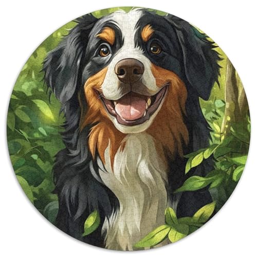 Pferd Puzzles 1000 Teile Schwer Puzzle Spielzeug Lernspiel Impossible Herausforderung Spielzeug Für Erwachsene Und Kinder Ab 12 Jahren (67.5x67.5cm) von BDKSLBDIP