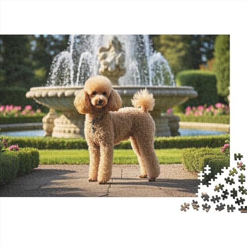 Poodle Puzzles 1000 Teile Schwer Puzzle Spielzeug Lernspiel Impossible Herausforderung Spielzeug Für Erwachsene Und Kinder Ab 12 Jahren (75x50cm) von BDKSLBDIP