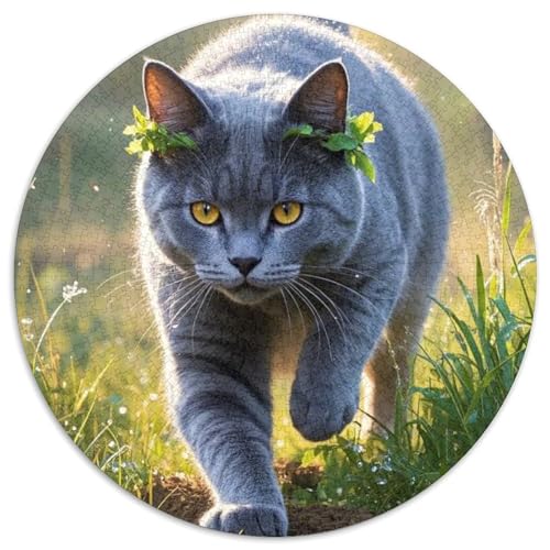 Ragdoll Katze Puzzle 1000 Teile Schwer Puzzle Spielzeug Pädagogisches Spiel Impossible Herausforderungsspielzeug Für Erwachsene Und Kinder in Bewährter (67.5x67.5cm) von BDKSLBDIP