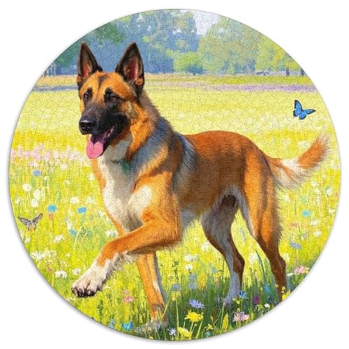 Schar Pei Puzzle 1000-teilige Schwer Puzzle Spielzeug Lernspiel Impossible Herausforderungsspielzeug Für Erwachsene Und Kinder in Bewährter (67.5x67.5cm) von BDKSLBDIP