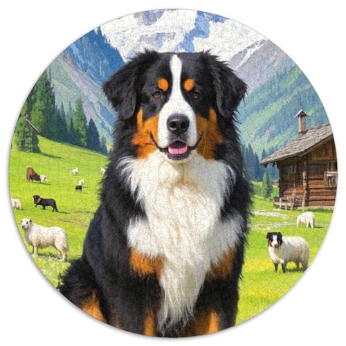 Sibirischer Husky Puzzle 1000 Teile Schwer Puzzle Spielzeug Pädagogisches Spiel Impossible Herausforderungsspielzeug Für Erwachsene Und Kinder in Bewährter (67.5x67.5cm) von BDKSLBDIP
