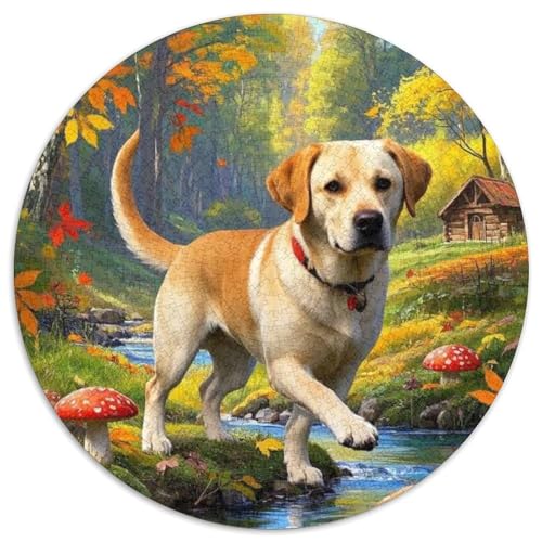 Stadtlandschaft Architektur Puzzle 1000 Teile Schwer Puzzle Spielzeug Lernspiel Impossible Herausforderung Spielzeug Für Erwachsene Und Kinder Ab 14 Jahren (67.5x67.5cm) von BDKSLBDIP