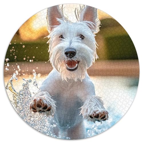 Waldkaskade Puzzle 1000-teilige Schwer Puzzle Spielzeug Pädagogisches Spiel Impossible Herausforderung Spielzeug Für Erwachsene Kinder (67.5x67.5cm) von BDKSLBDIP