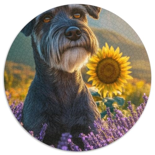 Waldkaskade Puzzle 1000-teilige Schwer Puzzle Spielzeug Pädagogisches Spiel Impossible Herausforderungsspielzeug Für Erwachsene Und Kinder Ab 12 Jahren (67.5x67.5cm) von BDKSLBDIP