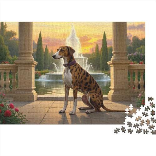 Whippet Puzzles 1000 Teile Schwer Puzzle Spielzeug Pädagogisches Spiel Impossible Herausforderung Spielzeug Für Erwachsene Und Kinder Ab 12 Jahren (75x50cm) von BDKSLBDIP