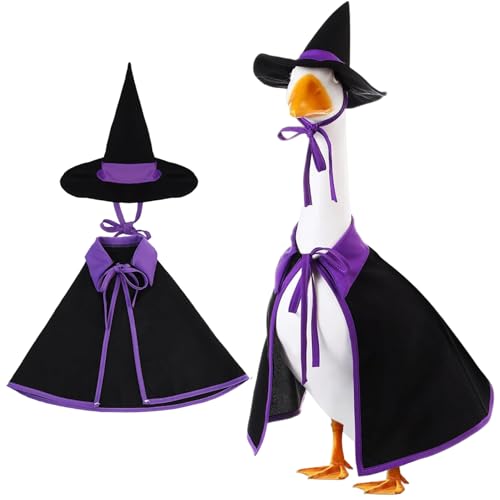 BEAHING Halloween Gänse Outfit, Halloween Gans Outfit für 23 '' Zement Plastik Rasenkleidung mit Hexenhut für Garten Rasenkunstdekoration von BEAHING