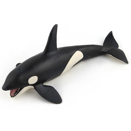 BEAHING Walfigur, Killerwalspielzeug 8x4x3 Zoll Wal Figur künstliches realistisch BEAHING Walfigur, Killerwalspielzeug 8x4x3 Zoll Wal Figur künstliches realistisch von BEAHING