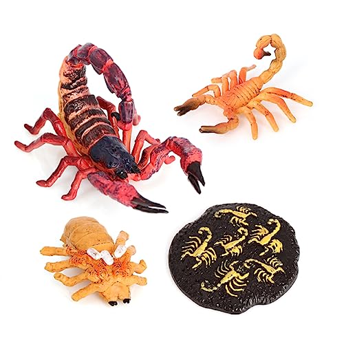 BEALIFE 1 Satz Lebenszyklus Spielzeug Haushalts Insektenmodell Interessante Tiere Requisiten Wachstumsanzeige Requisiten Skorpion Modelle für die Schule zu Hause, Schwarz Rot BEALIFE 1 Satz Lebenszyklus Spielzeug Haushalts Insektenmodell Interessante Tiere Requisiten Wachstumsanzeige Requisiten Skorpion Modelle für die Schule zu Hause, Schwarz Rot von BEALIFE