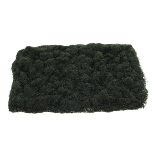 BEBEMOKO 1 Sandrasenpulver Netzfedern Sandtisch Kunstrasen Mini-hausbedarf Camping Schleifstein Haushalts-schleifstein Mini-Kunstrasen Outdoor-schleifstein Moos-Modell Plastik Green BEBEMOKO 1 Sandrasenpulver Netzfedern Sandtisch Kunstrasen Mini-hausbedarf Camping Schleifstein Haushalts-schleifstein Mini-Kunstrasen Outdoor-schleifstein Moos-Modell Plastik Green von BEBEMOKO