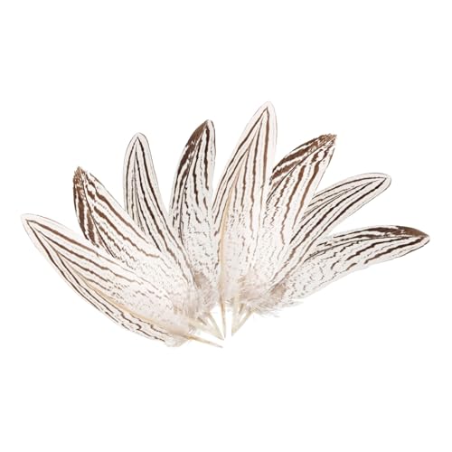 BEBEMOKO 10 Stück Federn DIY Federn für Traumfänger Handwerk Federn Natürliche Federn Party Plume Dekorationen Federn Dekoration Hochzeit Dekoration Hochzeit Home Party Hochzeit Party Fake von BEBEMOKO