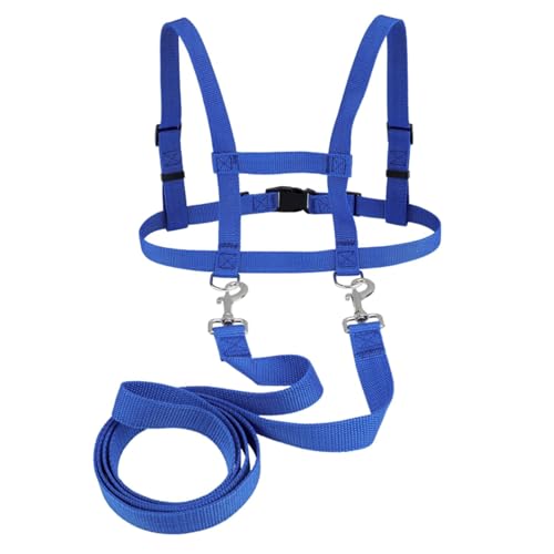 Pferdeleine zum Spielen für Kinder Blau Pferdeleine Pferde Longierleine Harness Pferdegeschirr für Kinder zum Spielen für Jungen und Mädchen Skifahren Rollenspiel Spielen von BEIMEIII