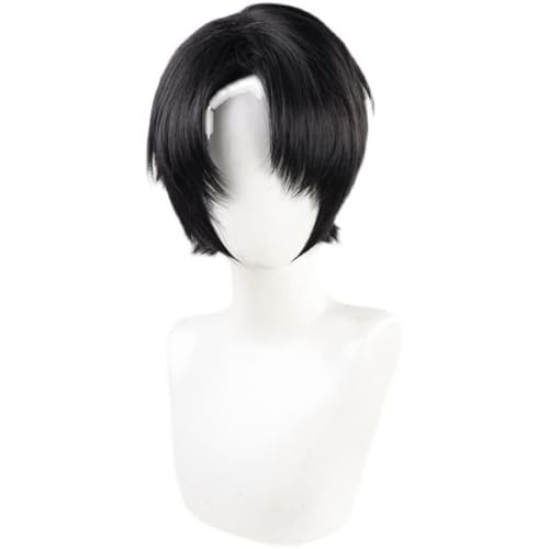 Anime Cosplay Levi · Ackerman Schwarze Kurzhaarperücke für Halloween, Party, Karneval, Nachtleben, Konzerte Anime Cosplay Levi · Ackerman Schwarze Kurzhaarperücke für Halloween, Party, Karneval, Nachtleben, Konzerte von BELEB