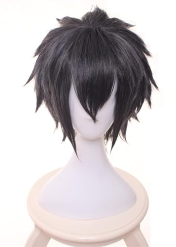 Anime Cosplay Noctis Lucis Caelum Schwarz Kurzes Haar Perücken Hitzebeständig Synthetisch Halloween Kostüm Party von BELEB