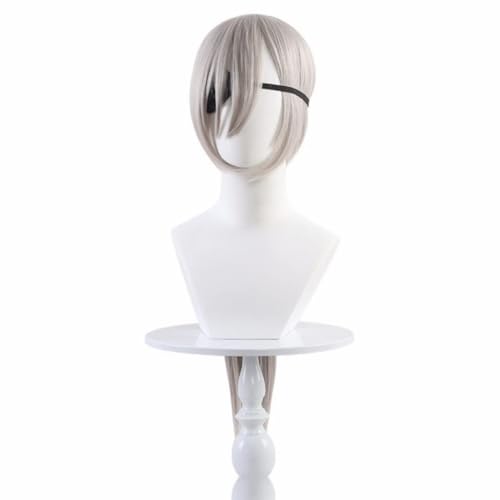 Anime Cosplay Quanxi Perücke, Frauen Silber Grau Lange Pferdeschwanz Haar Perücken für Halloween Karneval Kostüm Party Zubehör Anime Cosplay Quanxi Perücke, Frauen Silber Grau Lange Pferdeschwanz Haar Perücken für Halloween Karneval Kostüm Party Zubehör von BELEB