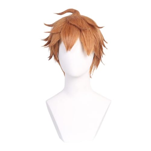 Anime Cosplay Tartaglia Perücke, Orange Kurze Haare Perücken für Halloween Kostüm Party Accesorios Anime Cosplay Tartaglia Perücke, Orange Kurze Haare Perücken für Halloween Kostüm Party Accesorios von BELEB