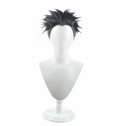 Anime Himejima Gyoumei Cosplay Perücke, Schwarz Grau Kurzes Haar Perücken Halloween Kostüm Party Rollenspiel Anime Himejima Gyoumei Cosplay Perücke, Schwarz Grau Kurzes Haar Perücken Halloween Kostüm Party Rollenspiel von BELEB