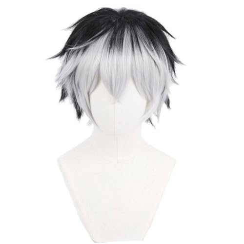 Anime Kotaro Bokuto Cosplay Perücke, Schwarz Weiß Kurzes Haar Perücken, Für Halloween Kostüm Party von BELEB