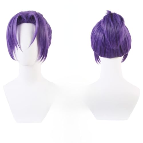 Anime REO Mikage Cosplay Perücke, Lila Kurze Haare Halloween Kostüm Party Rollenspiel Zubehör Perücke Anime REO Mikage Cosplay Perücke, Lila Kurze Haare Halloween Kostüm Party Rollenspiel Zubehör Perücke von BELEB