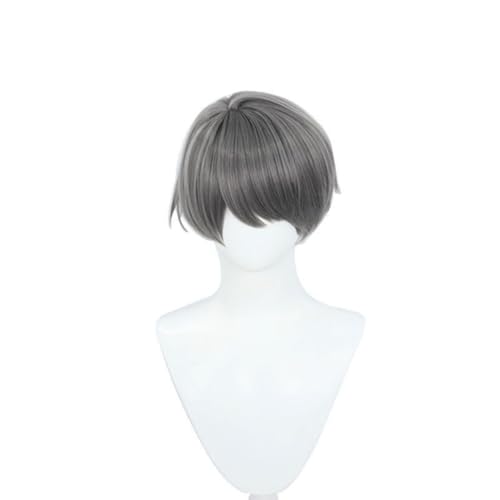 Anime X Cosplay Perücke, silbergraues kurzes Haar mit Perückenkappe, für Halloween, Party, Karneval, Nachtleben, Konzerte von BELEB