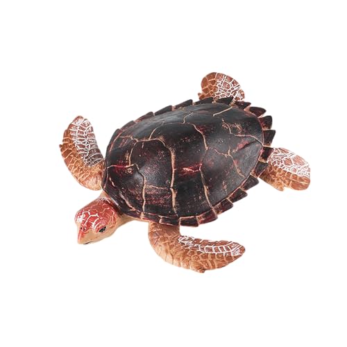 BELOWSYALER Schildkrötenfiguren Tiermodell Pädagogische Meerestiere für Kinder Bildung Wissenschaft Exponate und Hobbyisten BELOWSYALER Schildkrötenfiguren Tiermodell Pädagogische Meerestiere für Kinder Bildung Wissenschaft Exponate und Hobbyisten von BELOWSYALER