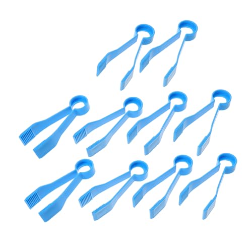 BESPORTBLE 10 Stück Kinderpinzetten Schmuckpinzetten DIY Schmuckbastelpinzetten Pinzettenzangen Pinzetten Zum Basteln Von Wissenschaftswerkzeugen Pinzetten Kinderpinzetten BESPORTBLE 10 Stück Kinderpinzetten Schmuckpinzetten DIY Schmuckbastelpinzetten Pinzettenzangen Pinzetten Zum Basteln Von Wissenschaftswerkzeugen Pinzetten Kinderpinzetten von BESPORTBLE