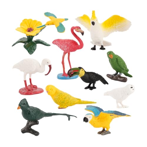 BESPORTBLE 10Stücke Mini Vogel Modelle Aus Realistische Simulation Von Papagei Flamingo Und Wissenschaftliche Lehrdekoration Für Vogelfiguren Dekorieren von BESPORTBLE
