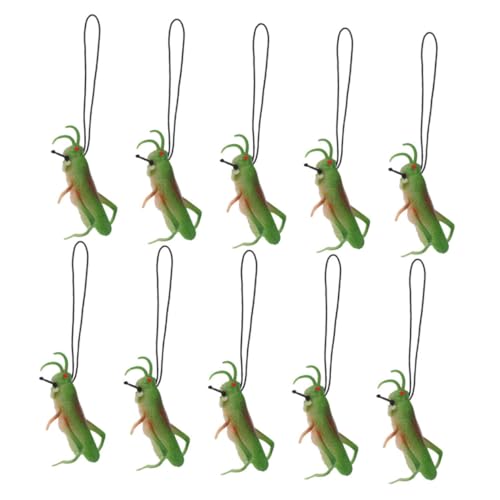 BESPORTBLE 10Stücke Teiliges Heuschrecken Modellspielzeug Realistische Figuren für Lernzwecke Party und Kreative Raumdekoration BESPORTBLE 10Stücke Teiliges Heuschrecken Modellspielzeug Realistische Figuren für Lernzwecke Party und Kreative Raumdekoration von BESPORTBLE