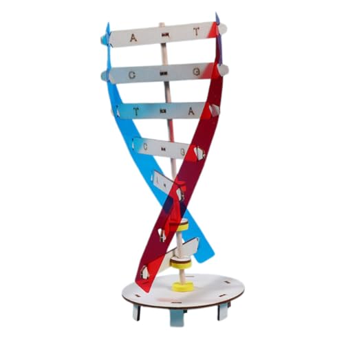 BESPORTBLE 1Satz DIY DNA Doppelhelix Modellset Für Pädagogisches Wissenschaft Und Interaktives Lernwerkzeug Für Kreative Experimente Und Wissenschaftliche Bildung von BESPORTBLE