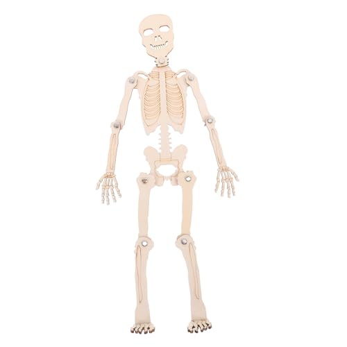 BESPORTBLE 1Satz DIY Menschliches Skelettmodell Unvollendetes Skelett Zur Kognitiven Pädagogisches Lernspielzeug Anatomisches Modell Für Jugendliche BESPORTBLE 1Satz DIY Menschliches Skelettmodell Unvollendetes Skelett Zur Kognitiven Pädagogisches Lernspielzeug Anatomisches Modell Für Jugendliche von BESPORTBLE