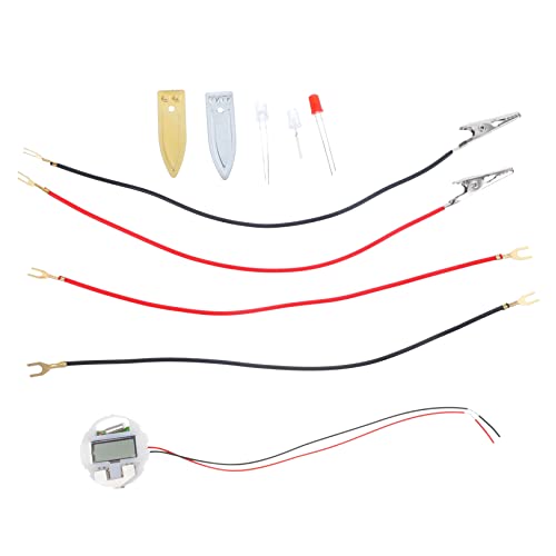BESPORTBLE 1Satz DIY Obstbatterie Experiment Wissenschafts Kit für Einfach zu Montieren Fördert Praktische Fähigkeiten und Kreativität im Schulunterricht für Spannende Experimente von BESPORTBLE