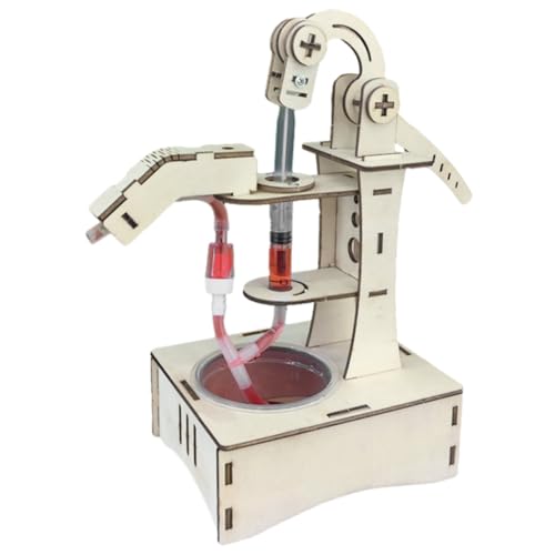 BESPORTBLE 1Satz DIY Wasserpumpen Experiment Wissenschaftsmodell für Physikalisches Kreativität und Problemlösungsfähigkeiten für Lernspiele und Experimente von BESPORTBLE