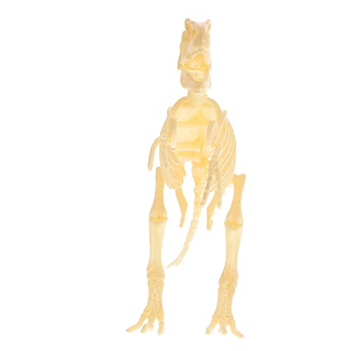 BESPORTBLE 1Satz Dinosaurier Skelett Modell Montierbares Dinosaurier Für Wissenschaftliches Lernspielzeug Für Jungen von BESPORTBLE