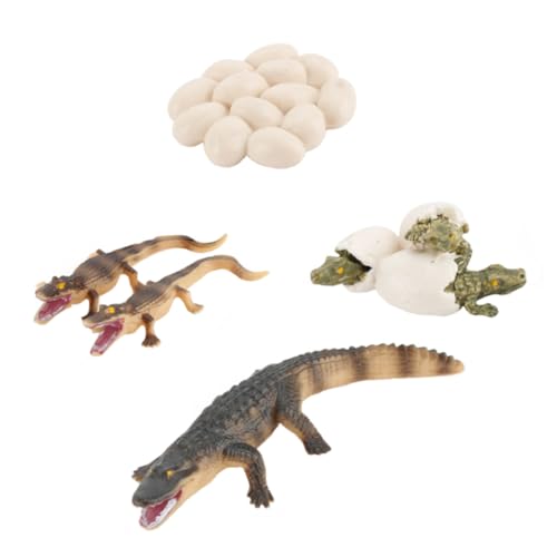 BESPORTBLE 1Satz Ei Realistisches Tiermodell für Pädagogisches Lernspielzeug zur Entwicklung Vorstellungskraft Langlebig und Sicher BESPORTBLE 1Satz Ei Realistisches Tiermodell für Pädagogisches Lernspielzeug zur Entwicklung Vorstellungskraft Langlebig und Sicher von BESPORTBLE