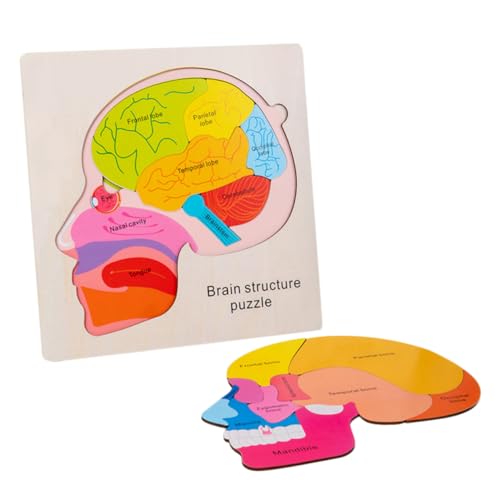 BESPORTBLE 1Satz Gehirnstruktur Puzzle Für Holzspielzeug Kognitiven Entwicklung Mit Mehrschichtigen Gehirnstrukturmodellen Lernspielzeug Für Frühe Bildung BESPORTBLE 1Satz Gehirnstruktur Puzzle Für Holzspielzeug Kognitiven Entwicklung Mit Mehrschichtigen Gehirnstrukturmodellen Lernspielzeug Für Frühe Bildung von BESPORTBLE