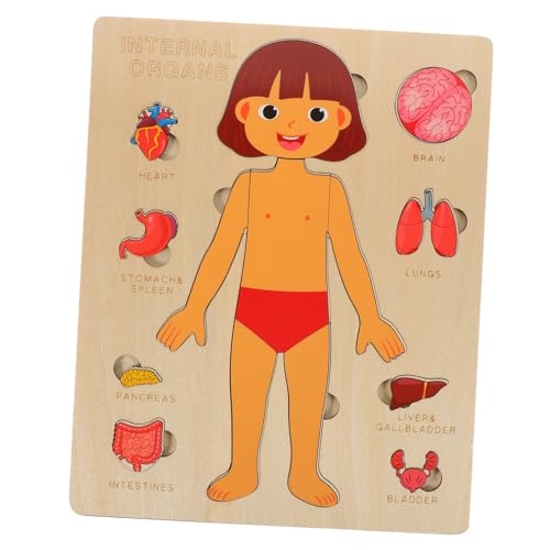 BESPORTBLE 1Satz Hölzernes Körper Puzzle Für Bildungsanatomie Puzzle Mit Organen Montessori Lernspielzeug Für Kleinkinder Pädagogisches Holzspielzeug Frühen Entwicklung von BESPORTBLE