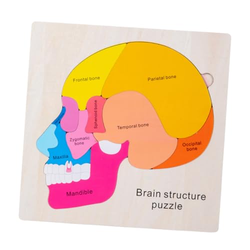 BESPORTBLE 1Satz Holz Gehirn Puzzle Für Lernspielzeug Gehirnstruktur Mehrlagiges Puzzle Pädagogisches Für Kreative Und Konzentration BESPORTBLE 1Satz Holz Gehirn Puzzle Für Lernspielzeug Gehirnstruktur Mehrlagiges Puzzle Pädagogisches Für Kreative Und Konzentration von BESPORTBLE